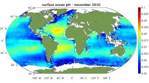 Oceani in pericolo